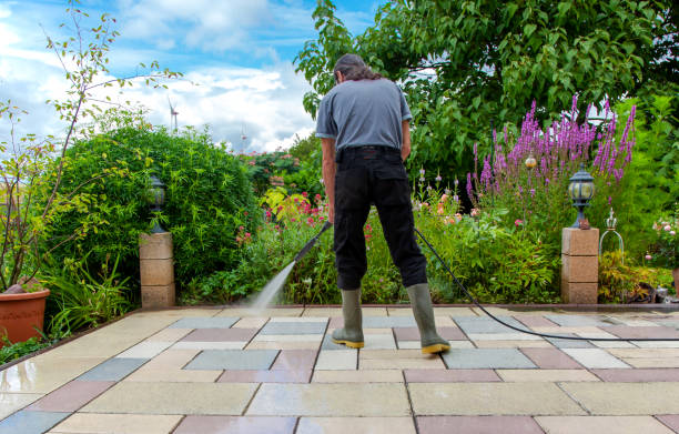 Best Pre-Holiday Cleaning  in Casselton, ND